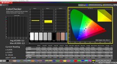 CalMAN ColorChecker (профиль: Vivid, целевое цветовое пространство: P3)