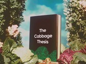 Брендинг Cabbage объединяет игривый визуальный стиль с умным инструментарием DeFi (Источник изображения: Stader Labs)